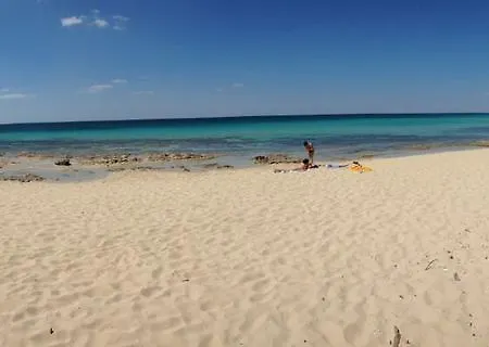Luisa Porto Cesareo
